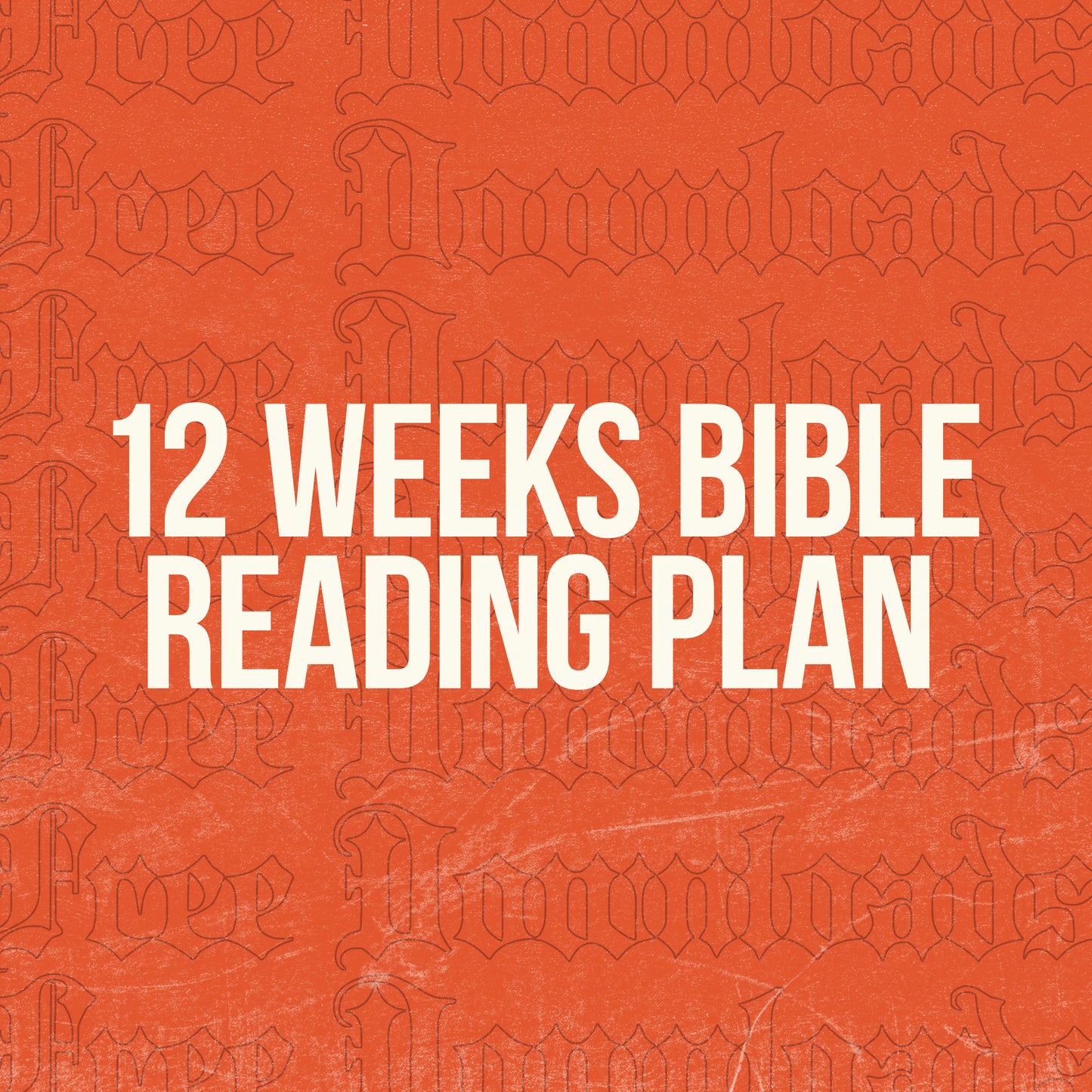 12 Weeks Bible Reading Plan