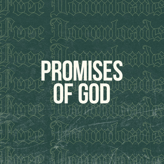 Promises Of God In Scripture